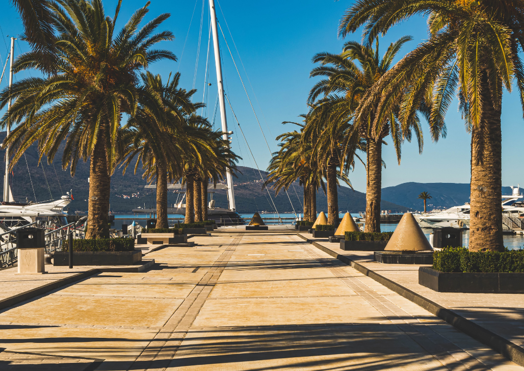 Luka na Jadranskom moru sa jahtama i palmama
