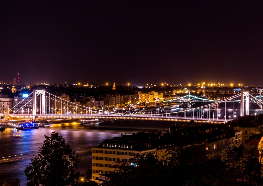 Noćna panorama Elizabetinog mosta u Budimpešti sa osvetljenjem